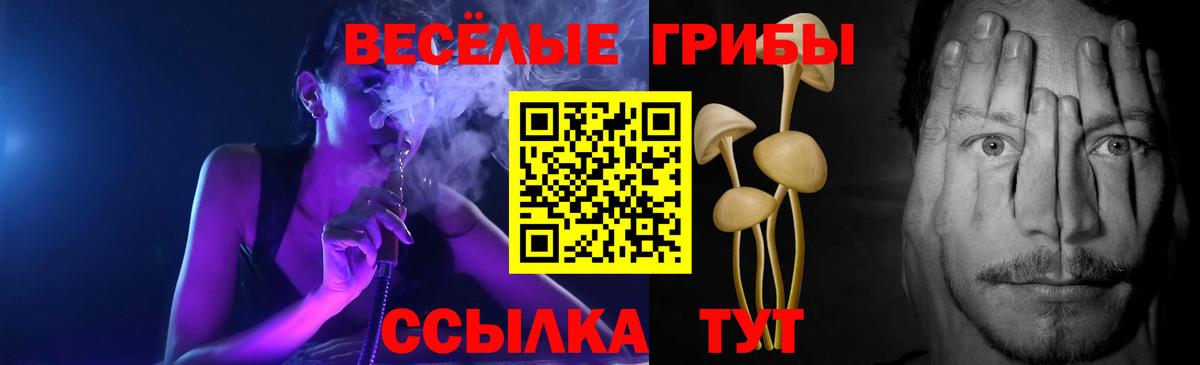 Псилоцибиновые грибы Psilocybine cubensis  Галлюциногенные грибы мухоморы  Беслан  Вход с VPN 